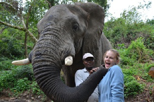 Elephant Sanctuary (distance from Lodge: 51km)    https://www.tours-tickets.co.za/wildlife.html